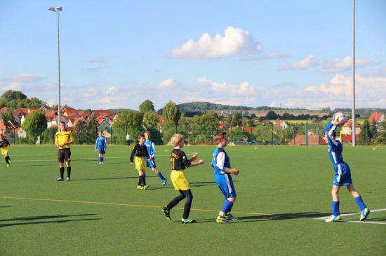E1-Jugend 14. Punktspiel gegen Großröhrsdorf 13/14_1