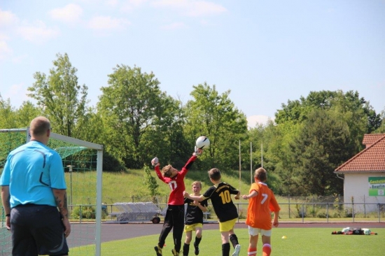 E1-Jugend 17. Punktspiel gegen Hoyerswerda 13/14_11