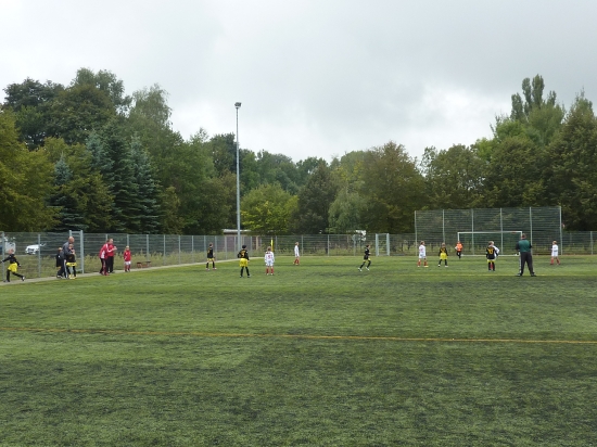 E1-Jugend 3. Punktspiel gegen Cunewalde 13/14_14