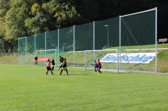 E1-Jugend 4. Punktspiel gegen Budissa Bautzen 13/14_6