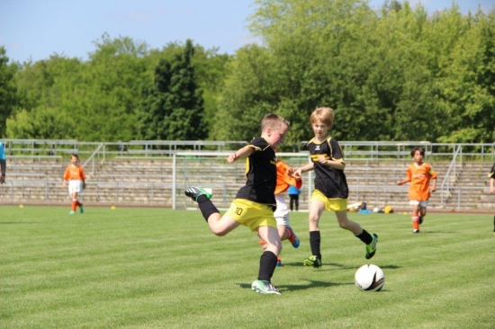E1-Jugend 17. Punktspiel gegen Hoyerswerda 13/14_10