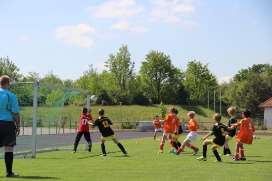 E1-Jugend 17. Punktspiel gegen Hoyerswerda 13/14_12