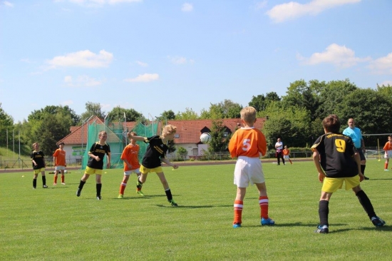E1-Jugend 17. Punktspiel gegen Hoyerswerda 13/14_13